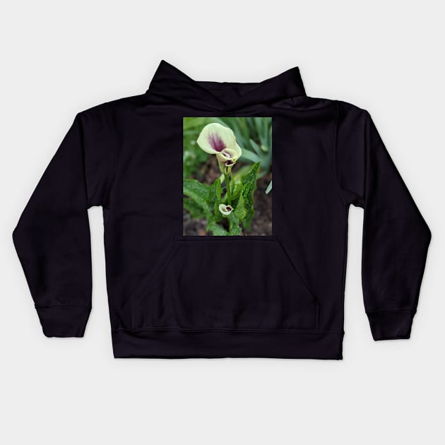 Calla Lilies Photographic Image Kids Hoodie by AustaArt